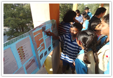 Health Exhibition