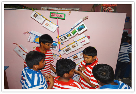 Health Exhibition