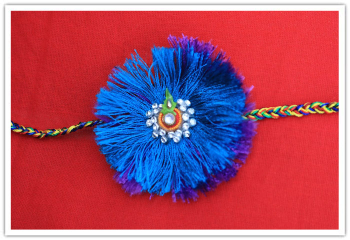 Raksha Bhandan 2017