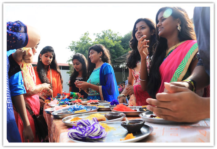 Raksha Bhandan 2017