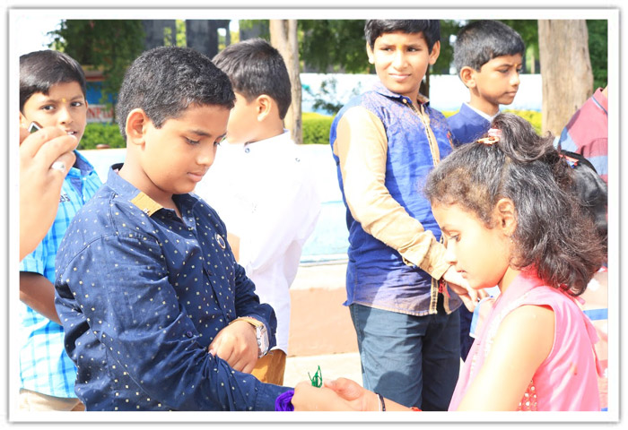 Raksha Bhandan 2017