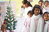 Good Tiding on Occasion of Christmas Celebrations 2018