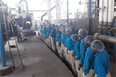 Diary' of Masqati Dairy & Survey of India