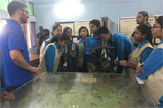Diary' of Masqati Dairy & Survey of India