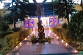 Diwali Celebrations