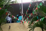 Diwali Celebrations