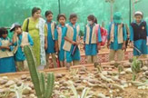 Field trip