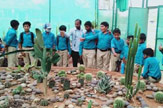Field trip