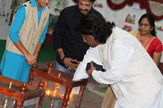 THE ART & CRAFT EXHIBITION - 2020