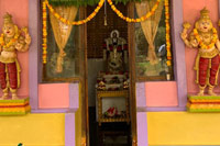 Onam Celebrations