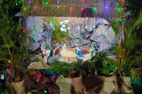 Christmas Celebrations