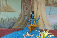 Maha Shiva Ratri Celebrations