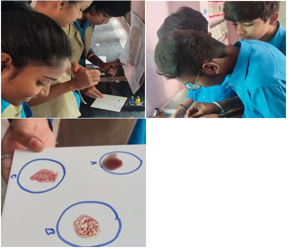 Experiential Learning